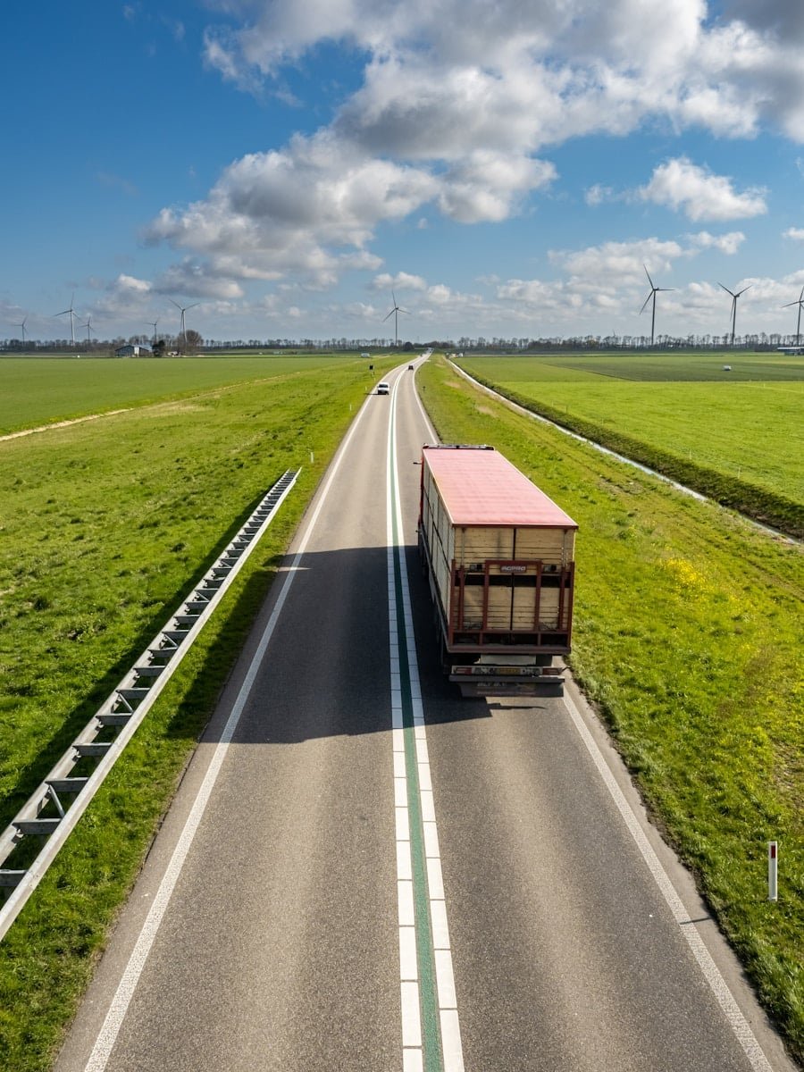 Servicios de Transporte de Mercancía por Carretera en Mallorca